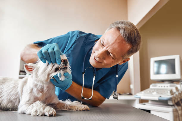 Best Emergency Gum Treatment in Alderwood Manor, WA